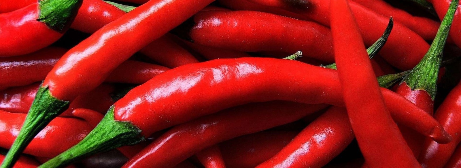 Large e2a5a49e 52fc 4a38 888b 7e1ed539b9e0